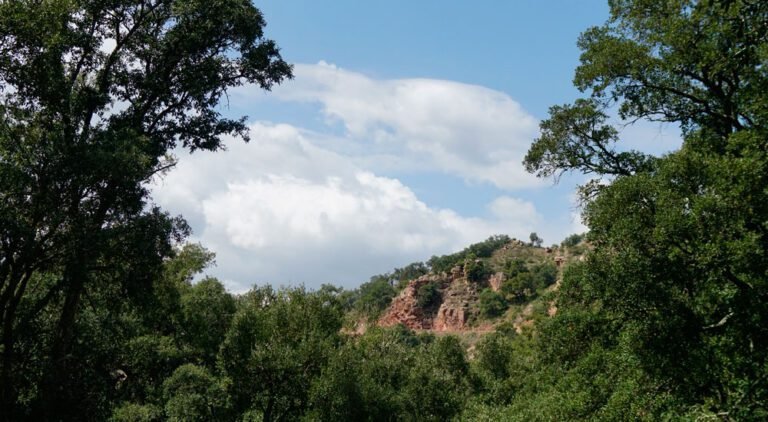 De qué manera se considera el aire un recurso natural esencial 18 aire limpio sobre un paisaje natural