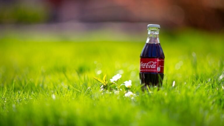 Qué beneficios y características tiene Mi Coca Cola Andina 10 botellas de coca cola en un campo verde