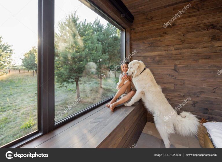 cabana acogedora con mascota en naturaleza