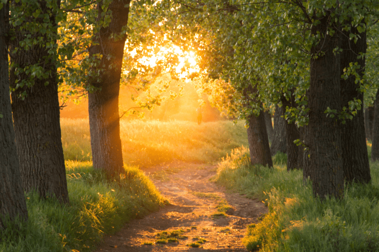 camino hacia la luz y la esperanza