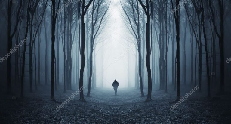 Qué es la saga "Camino hacia el Terror" y cuáles son sus películas 26 camino oscuro rodeado de arboles tenebrosos