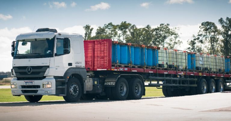 camion de carga en carretera argentina