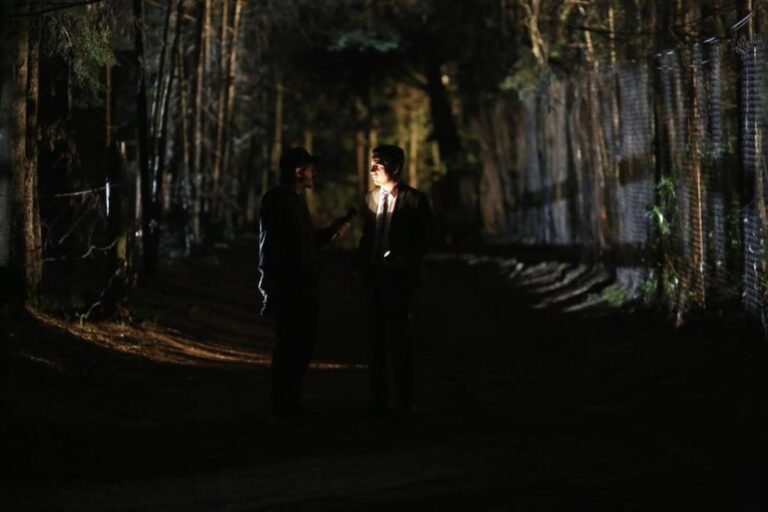 chicos iluminando un camino en la oscuridad