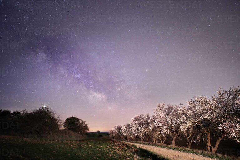 A quién tengo yo en los cielos y qué significado tiene esta frase 1 cielos estrellados sobre un paisaje sereno