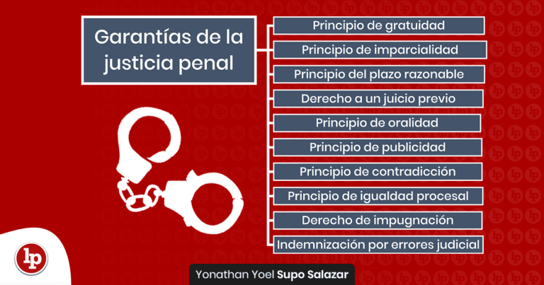codigo procesal penal en accion judicial