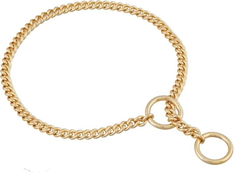 Qué características debo considerar al elegir un collar de cadena para perro 4 collares de cadena para perros en exhibicion