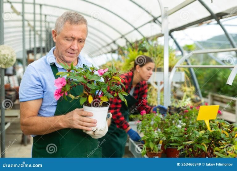 Quiénes son las conejitas que no sabían respetar y por qué 3 conejitas en un jardin lleno de flores
