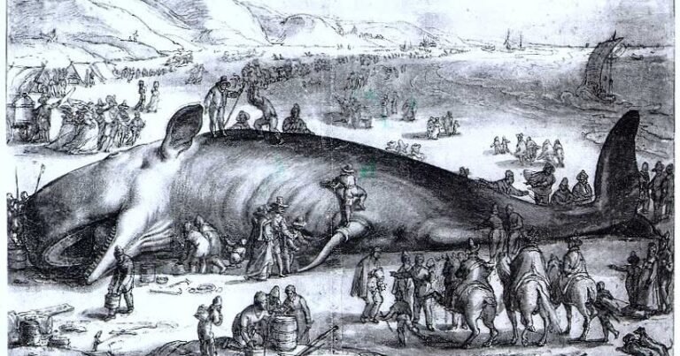 diez plagas de egipto ilustradas artisticamente