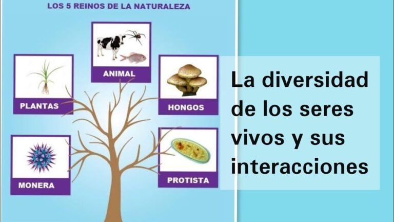diversidad de seres vivos en un ecosistema