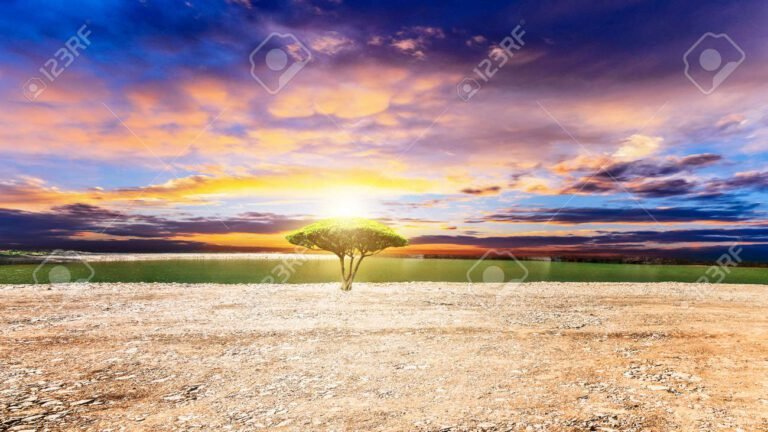 Qué datos interesantes debo conocer sobre el sol y su importancia 5 el sol brillando sobre un paisaje natural