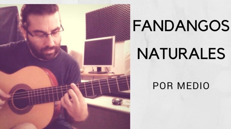 guitarrista tocando acordes en un entorno natural