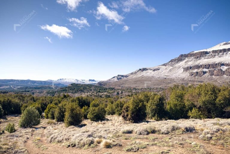 hectarea de tierra en paisaje argentino