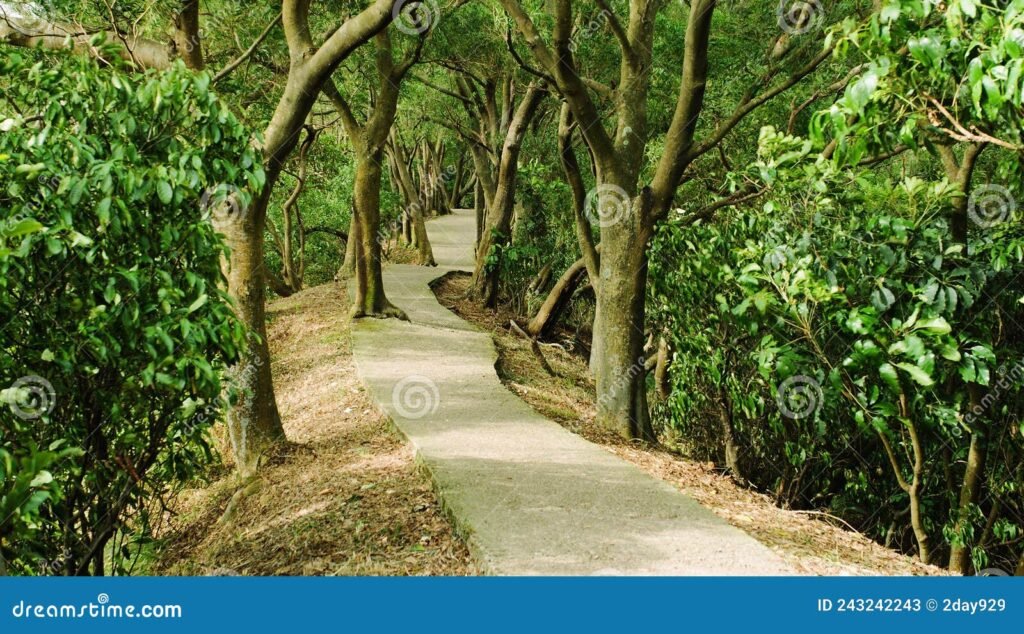 Qué significa la frase "Caminante, no hay camino, se hace camino al andar" 5 Qué significa la frase «Caminante, no hay camino, se hace camino al andar»