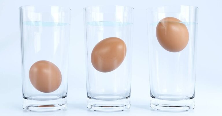 Es cierto que un huevo que flota está en mal estado 12 huevo flotando en agua