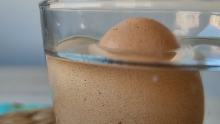 Por qué flotan los huevos y qué significa eso para su frescura 30 huevos flotando en un tazon con agua