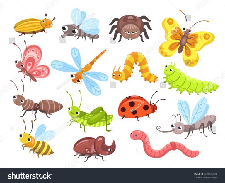 Qué enseña el cuento "Bicho raro" de Graciela Montes 17 ilustracion de un bicho inusual y colorido