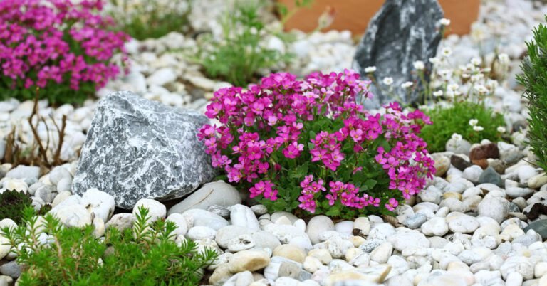 Cómo crear un jardín hermoso con piedras y flores 27 jardin colorido con piedras y flores