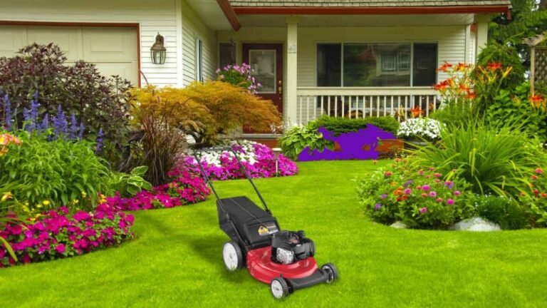 Cómo puedo poner en marcha mi jardín desde cero en casa 20 jardin en casa con plantas y herramientas