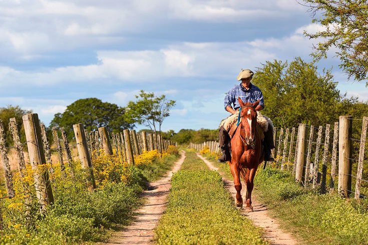la figura de un gaucho en el campo
