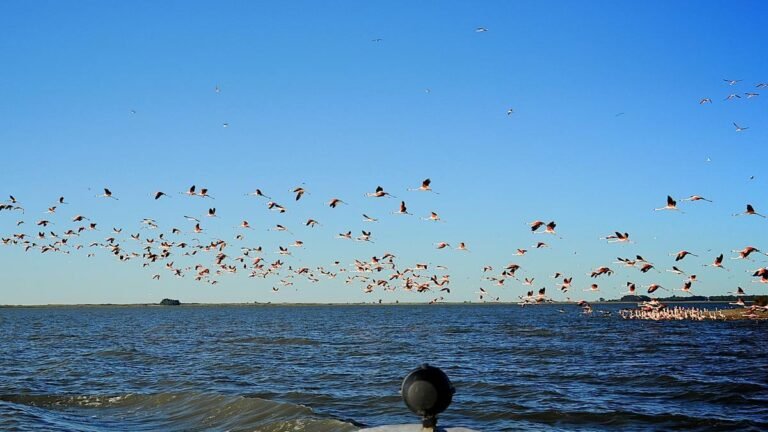 Qué opciones de transporte hay para llegar a los lagos de Buenos Aires 9 lagos de buenos aires con transporte diverso