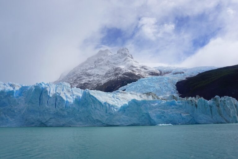 Qué es el largo pétalo de mar y dónde se encuentra en Argentina 28 largo petalo de mar en paisaje argentino