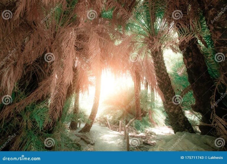 Cómo Puedo Detectar Oportunidades de Negocio Efectivas 30 luz brillante sobre un camino en la naturaleza