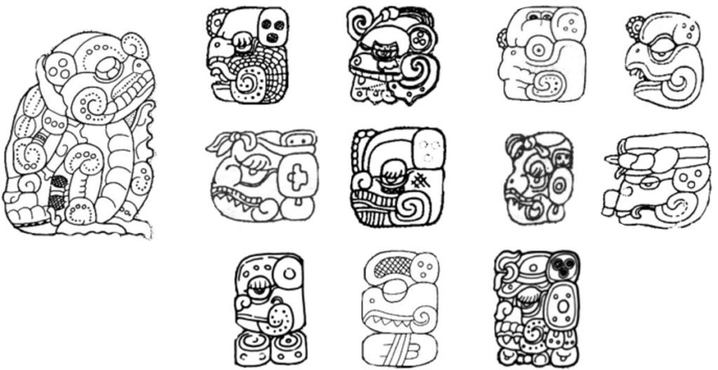 Por qué se dice ‘siempre mono, nunca sapo’ en la cultura popular