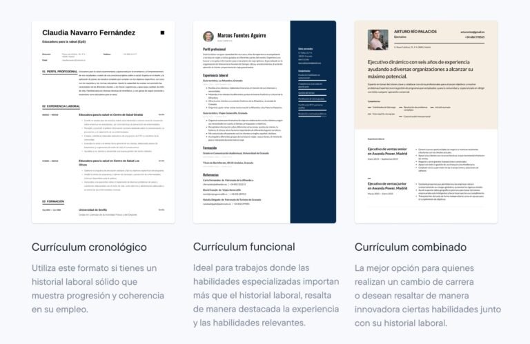 muestra de un curriculum vitae profesional