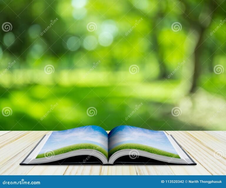 naturaleza tranquila con libro abierto