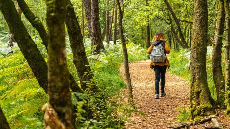 Qué actividades y servicios ofrece Mi Lugar Las Gaviotas en Argentina 22 naturaleza y actividades al aire libre