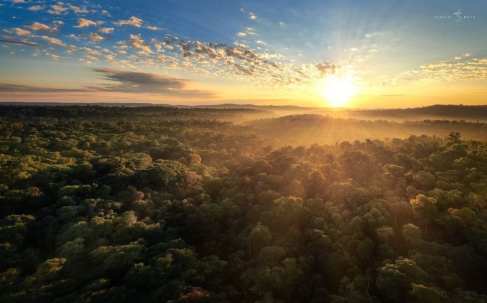 Cómo y en qué circunstancias murió el famoso escritor Horacio Quiroga 4 Cómo y en qué circunstancias murió el famoso escritor Horacio Quiroga