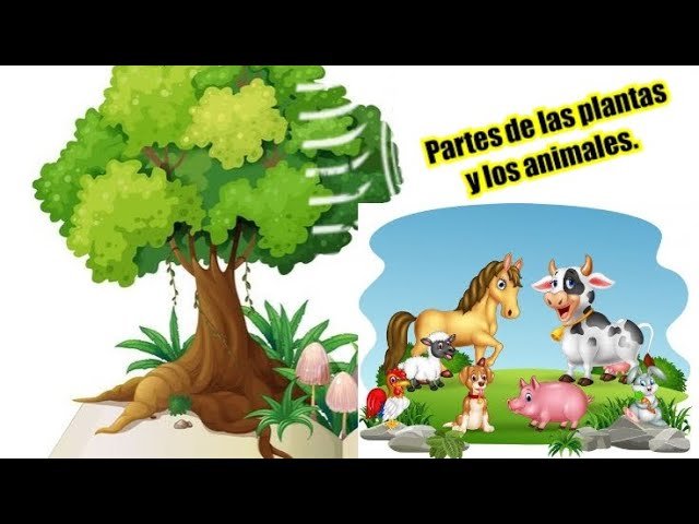 Cómo crear un plan de clase sobre seres vivos para primer grado 23 ninos aprendiendo sobre plantas y animales