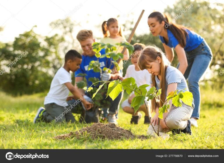 Cuáles son las mejores frases cortas sobre el medio ambiente para niños 8 ninos plantando arboles en un parque