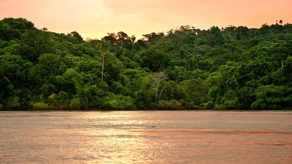 Cómo y en qué circunstancias murió Horacio Quiroga
