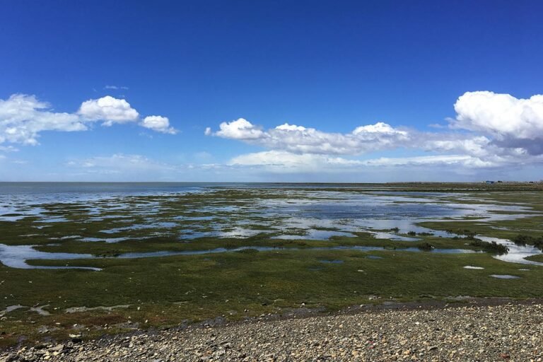 Qué Actividades y Atracciones Puedo Disfrutar en Río Gallegos 27 paisaje natural de rio gallegos