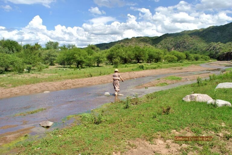 Qué lugares turísticos visitar en San Agustín de Valle Fértil 13 paisaje natural de san agustin de valle fertil