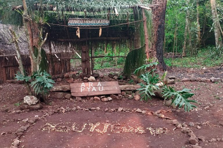 palabras guaranies sobre fondo natural