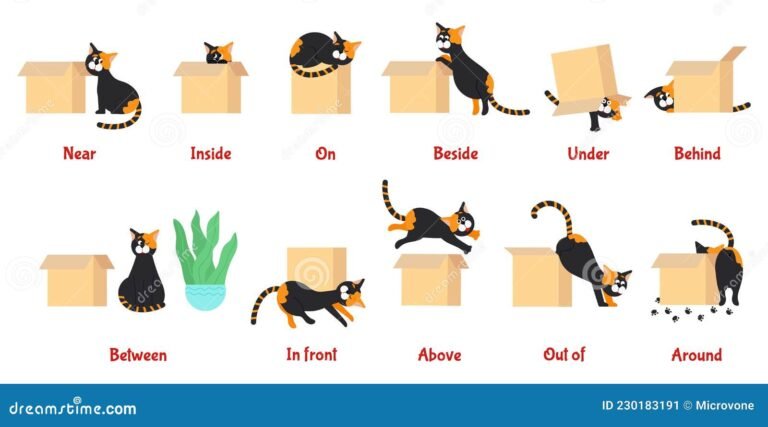 preposiciones en un fondo educativo