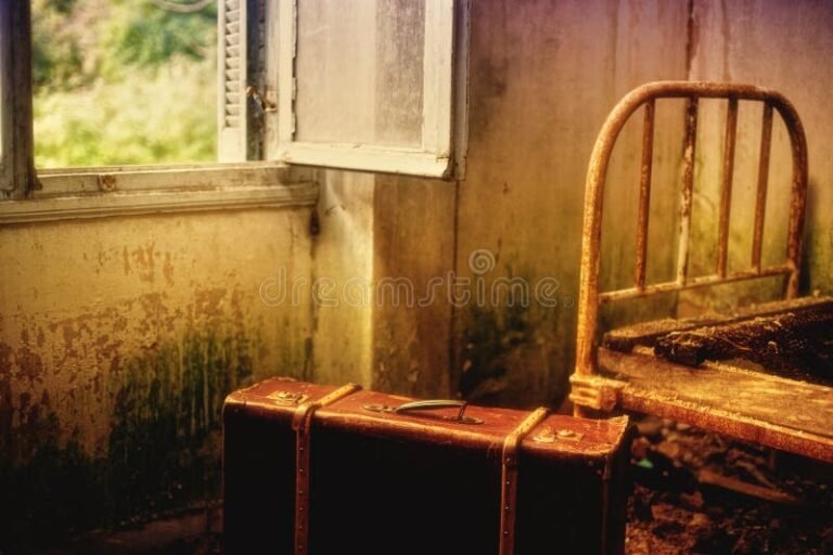 puerta abierta con maletas vacias