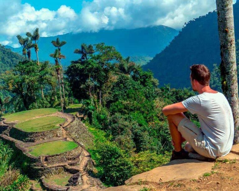 Qué oración se le puede dedicar a Santa Marta para pedir ayuda 24 santa marta rodeada de naturaleza y fe