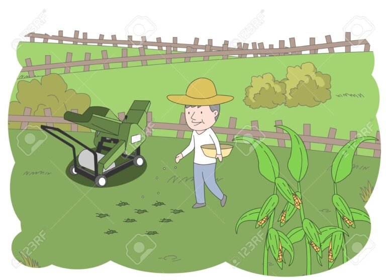 sembrando semillas en un campo verde