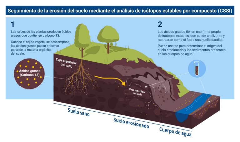suelo erosionado con vegetacion afectada