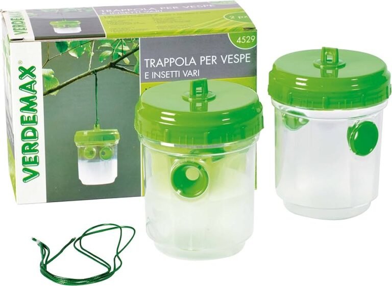 Cómo puedo deshacerme de avispas negras en mi casa de forma segura 11 trampa para avispas en un jardin