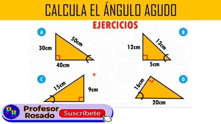 Cómo puedo calcular los ángulos de un triángulo rectángulo fácilmente 29 triangulo rectangulo con angulos marcados