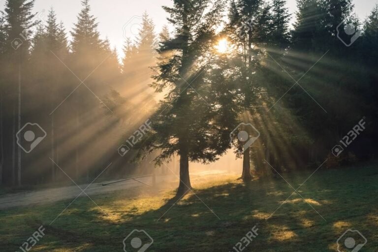 un amanecer inspirador en la naturaleza
