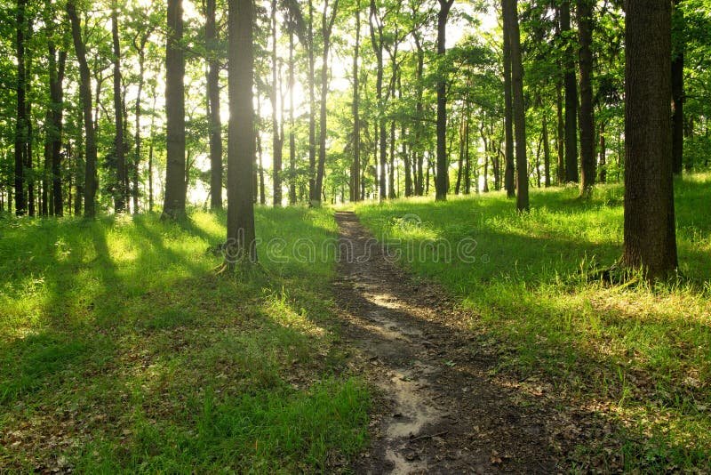 Solo sé que no sé nada, cómo aplicar esta filosofía en mi vida 3 Solo sé que no sé nada, cómo aplicar esta filosofía en mi vida