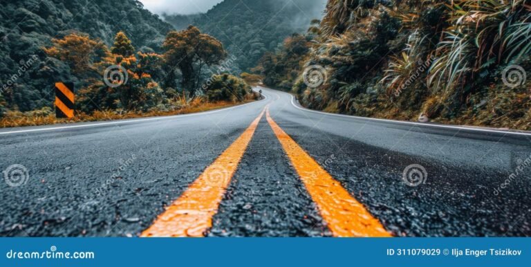 un camino tranquilo en un bosque sereno