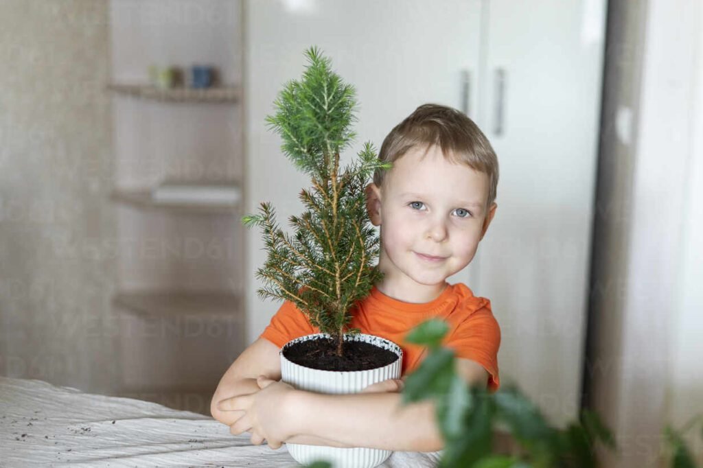 Cuál es el resumen de "Mi planta de naranja lima" de José Mauro de Vasconcelos 8 Cuál es el resumen de «Mi planta de naranja lima» de José Mauro de Vasconcelos