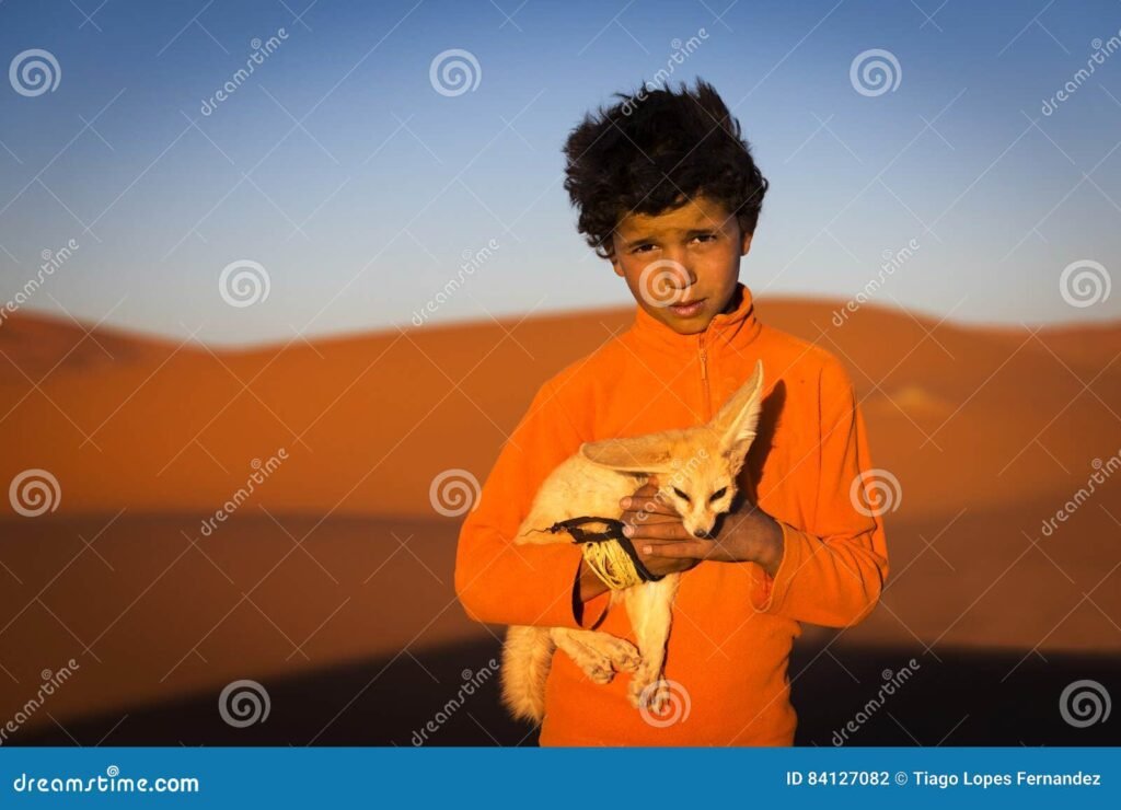 Cuál es un resumen del Principito con mis propias palabras