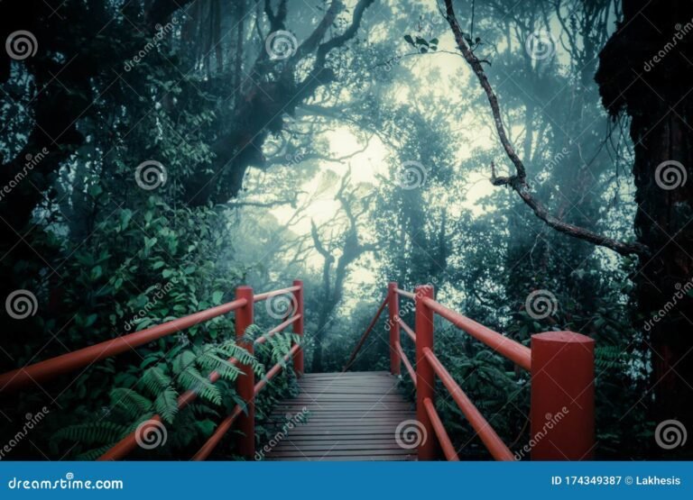 Qué trama y personajes tiene la película "Al Otro Lado del Mundo" 24 un paisaje exotico y misterioso